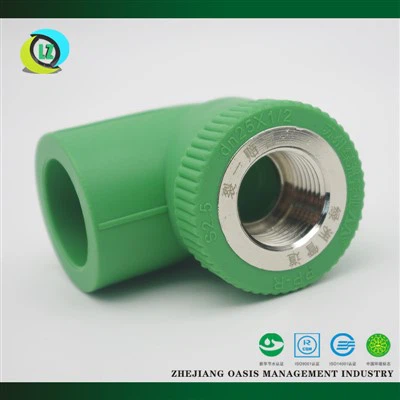 Minkeb bil-kamin femminili